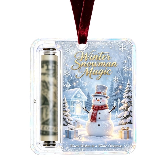 Christmas Ornaments Money Holder Acrylic Cash Gift Clips for Christmas Tree, Holds Cash & Notes, Unique Christmas Tree Decorations by PALIFEUR