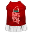 thumbnail image 1 of Christmas Pet Dog  Cat Dress Screen Printed, "Big Elf", 1 of 11