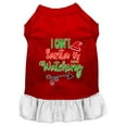 thumbnail image 1 of Christmas Pet Dog  Cat Dress Screen Printed, "I Can't, Santa Is Watching", 1 of 10