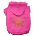 thumbnail image 1 of Christmas Pet Dog  Cat Hoodie Screen Printed, "Golden Christmas Present", 1 of 11