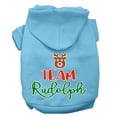 thumbnail image 1 of Christmas Pet Dog  Cat Hoodie Screen Printed, "Team Rudolph", 1 of 10