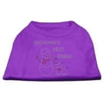 thumbnail image 1 of Christmas Pet Dog  Cat Shirt Rhinestone, "Snowman's Best Friend", 1 of 11