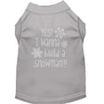 thumbnail image 1 of Christmas Pet Dog  Cat Shirt Rhinestone, "Yes, I Want to Build a Snowman", 1 of 10