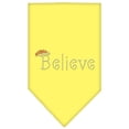 thumbnail image 1 of Christmas Pet and Dog Bandana Rhinestone, "Believe", 1 of 10