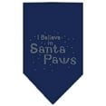 thumbnail image 1 of Christmas Pet and Dog Bandana Rhinestone, "I Believe In Santa Paws", 1 of 9