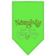 thumbnail image 1 of Christmas Pet and Dog Bandana Rhinestone, "Naughty, But In A Nice Way", 1 of 10
