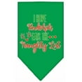 thumbnail image 1 of Christmas Pet and Dog Bandana Screen Printed, "Hope Rudolph Eats The Naughty List", 1 of 9