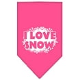 thumbnail image 1 of Christmas Pet and Dog Bandana Screen Printed, "I Love Snow", 1 of 7