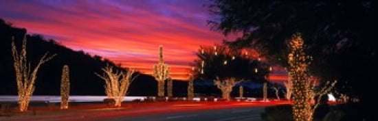 Christmas Phoenix Arizona USA Canvas Art - Panoramic Images (36 x 12)