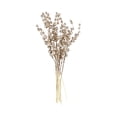 thumbnail image 1 of Christmas Picks with Glitter and Sequin Beads, 15.7 Inches, Champagne Gold, for Tree and Vase Arrangements, Decoration, 1 of 5