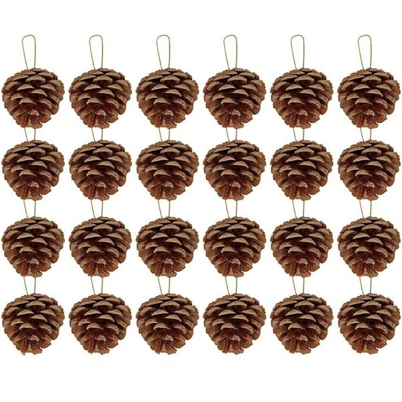 Christmas Pinecone Ornaments,24 Pcs Natural Pine Cones,Christmas Rustic Pinecones for Home Accent Decor,Tree Decoration
