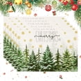 thumbnail image 1 of Christmas Placemats Set of 6, 12x18 inch Green Christmas Tree Table Mats with Snowflake, Winter Holiday Merry Christmas Placemats for Home Kitchen Farmhouse Party Banquets Decoration, 1 of 6
