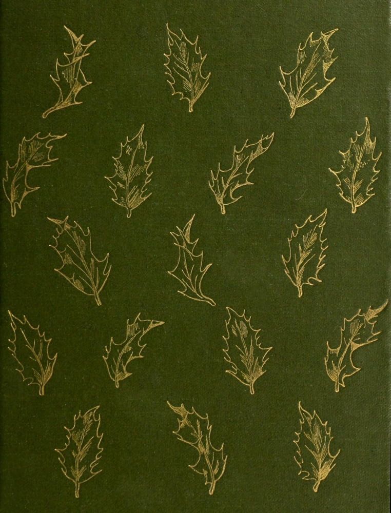 Christmas Posy of Carols 1902 Cover Canvas Art - Unknown (18 x 24)