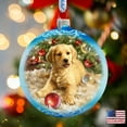 thumbnail image 1 of Christmas Puppy Glass Ornament by D. Gelsinger | Christmas Décor - 71104-1609, 1 of 6
