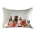 thumbnail image 1 of Christmas Quilted Pillowcover, Funny Pets with Christmas Presents Dogs Cats and Rabbits Photography, Standard King Size Accent Pillow Cover for Bedroom, 36" x 20", White Brown and Red, by Ambesonne, 1 of 2
