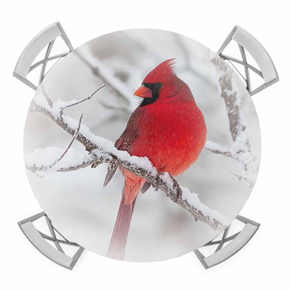 Christmas Red Birds Round Tablecloth for 36-44 Inch Tables, Fitted Table Cover with Elastic Edge, Winter Branch Xmas Snowflake Waterproof Outdoor Table Cloth Protector for Patio Garden Dinner Picnic