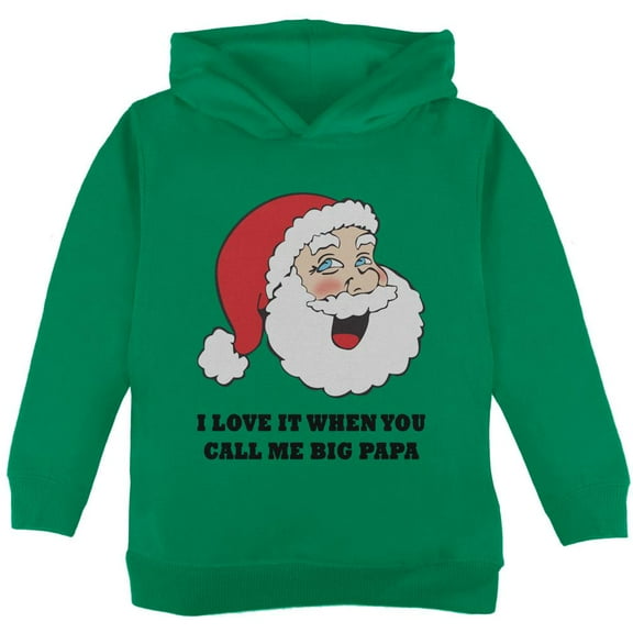 Christmas Santa I Love it When You Call Me Big Papa Toddler Hoodie Green 2T