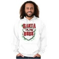 thumbnail image 1 of Christmas Santa is the Boss Beard Hoodie Sweatshirt Women Men Brisco Brands M, 1 of 6