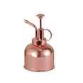 thumbnail image 1 of Christmas Savings Clearance! Cbcbtwo Metal Plant Mister, 10oz 5.9" Vintage Small Watering Can Spray Bottle, Fine Mist Sprayer for House Bonsai Indoor Plant Garden Flower Gift, 1 of 9