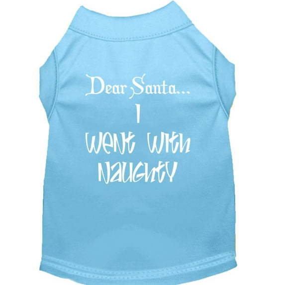 Dear Santa I Went with Naughty Screen Print Shirts Baby Blue XS (8)