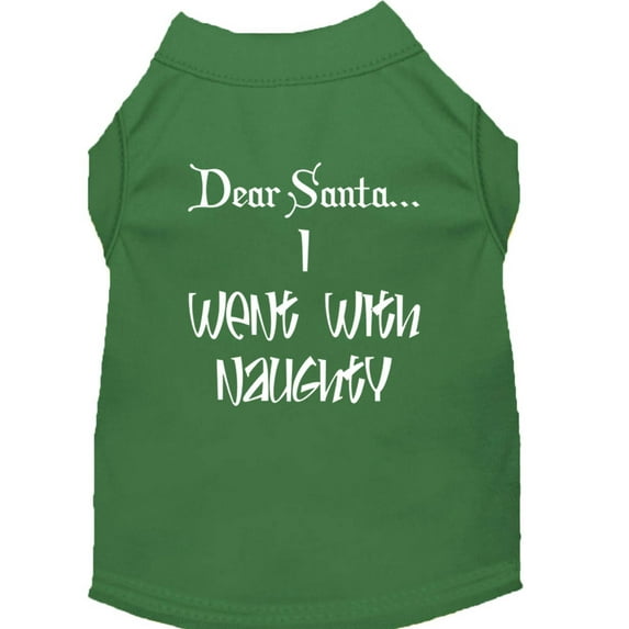 Dear Santa I Went with Naughty Screen Print Shirts Emerald Green Med (12)