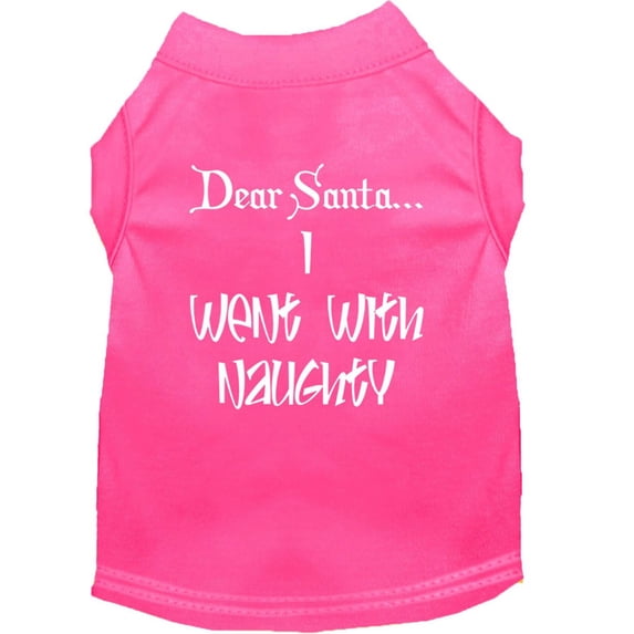 Dear Santa I Went with Naughty Screen Print Shirts Bright Pink Med (12)