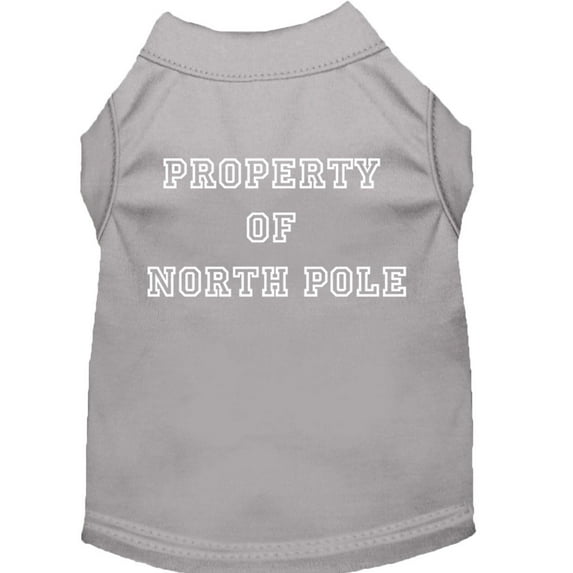 Property of North Pole Screen Print Shirts Grey S (10)