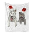 thumbnail image 1 of Christmas Soft Flannel Fleece Throw Blanket, Dog and Cat in Santa Red Hats Funny Puppy and Kitty Domestic Pet Animal, Cozy Plush for Indoor and Outdoor Use, 50" x 60", White Grey Red, by Ambesonne, 1 of 5