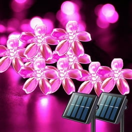 Qedertek Garden Solar String Lights,22.96ft 50 LED Solar Fairy Blossom Flower for Indoor/Outdoor,Patio,Lawn,Garden,Christmas,and Holiday Festivals Decorative Lights (Warm White) Qedertek Garden Solar String Lights,22.96ft 50 LED Solar Fairy Blossom Flower for Indoor/Outdoor,Patio,Lawn,Garden,Christmas,and Holiday Festivals Decorative Lights (Warm White)