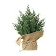 thumbnail image 1 of Christmas Tabletop Mini Tree 13" Green Xmas Pine Tree Christmas Decor with Burlap Pots for Home Indoor for Home Miniature Trees with Linen Base for Dining Table Kitchen Desk Home, 1 of 7