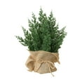 thumbnail image 1 of Christmas Tabletop Mini Tree 13" Green Xmas Pine Tree Christmas Decor with Burlap Pots for Home Indoor for Home Miniature Trees with Linen Base for Dining Table Kitchen Desk Home, 1 of 7