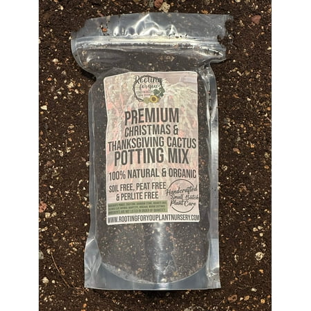 Christmas Thanksgiving Cactus Premium Potting Mix