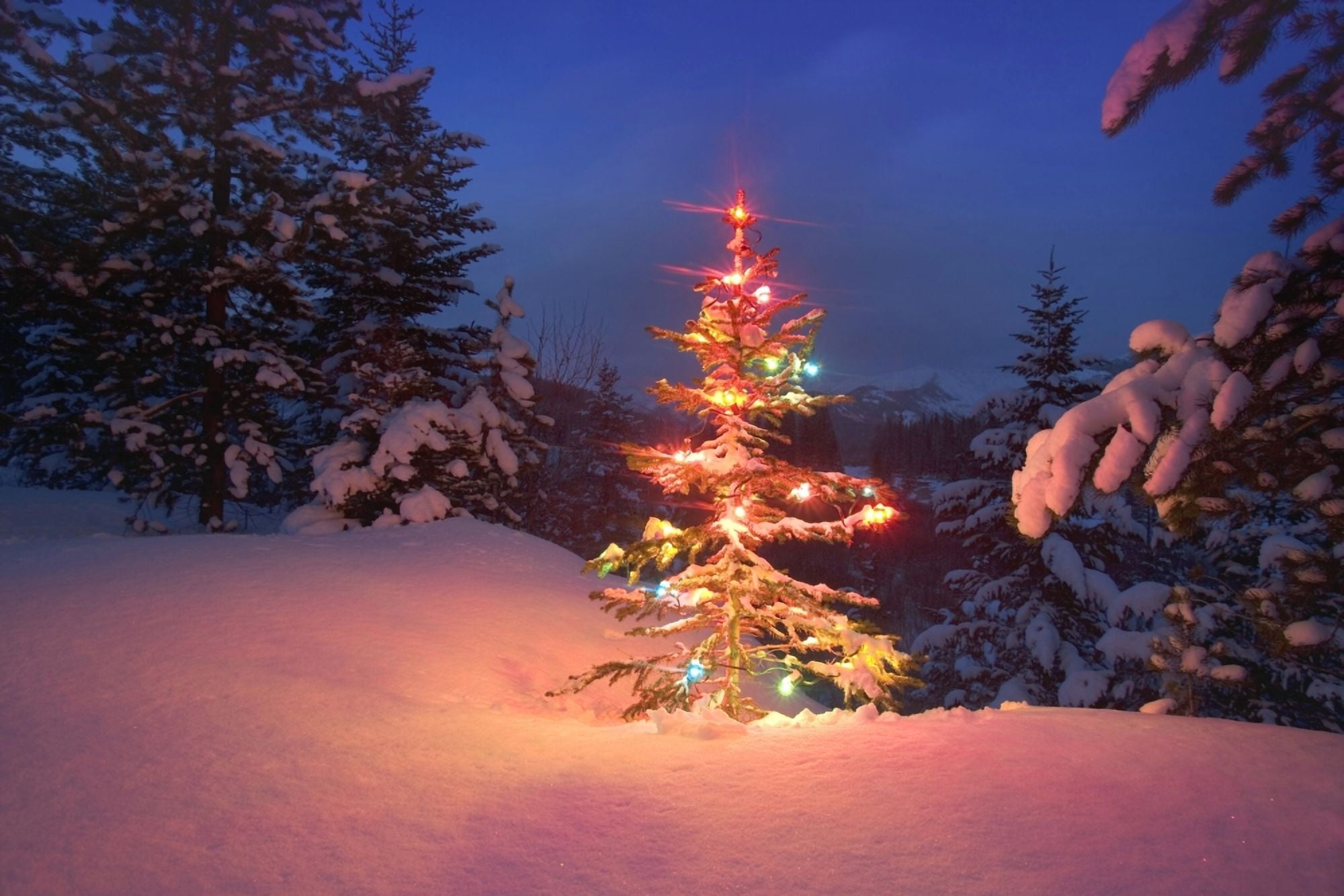 Christmas Tree At Night Canvas Art - Carson Ganci Design Pics (17 x 11)