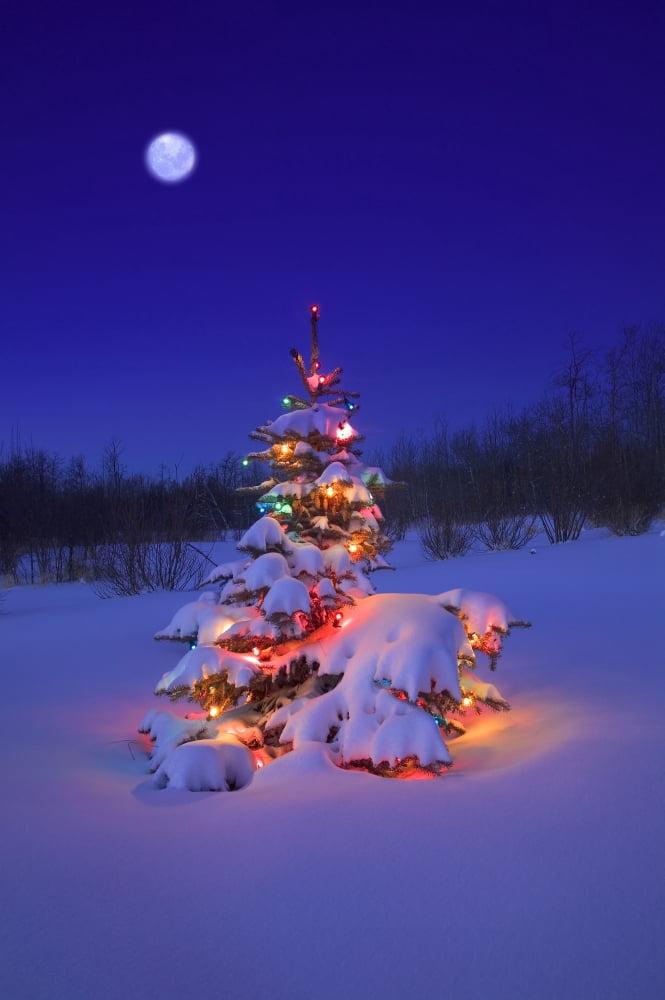 Christmas Tree Glowing Canvas Art - Carson Ganci Design Pics (11 x 17)