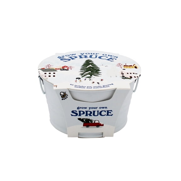 Grow Your Own Christmas Tree Kit Spruce Seed Starter with White Basin