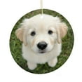 thumbnail image 1 of Christmas Tree Ornaments Customized Gifts for Pet Lovers Funny Christmas Ornaments Holiday Decor for Xmas Tree Golden Retriever Puppy Dog Christmas Tree Ornament, 1 of 8