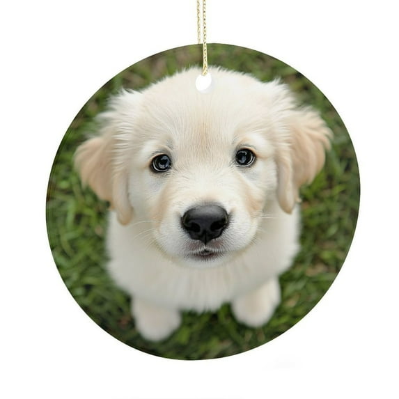 Christmas Tree Ornaments Customized Gifts for Pet Lovers Funny Christmas Ornaments Holiday Decor for Xmas Tree Golden Retriever Puppy Dog Christmas Tree Ornament