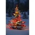 thumbnail image 1 of Christmas Tree With Lights Outdoors In The Forest by Carson Ganci / Design Pics, 1 of 1