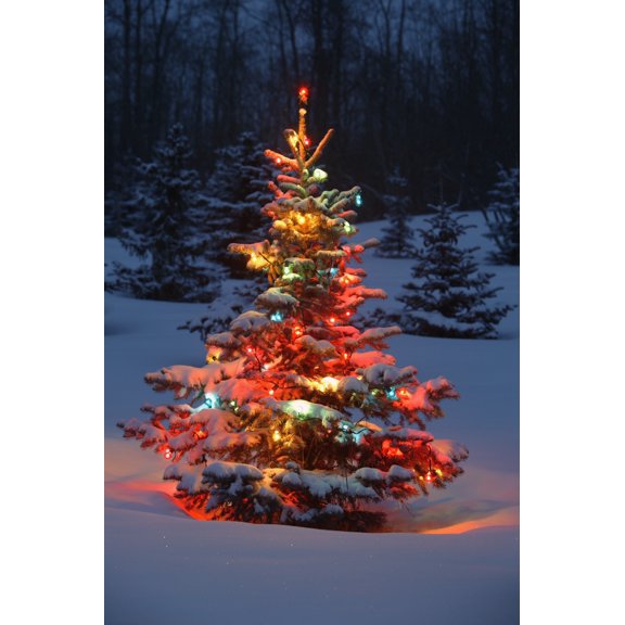 Christmas Tree With Lights Outdoors In The Forest by Carson Ganci / Design Pics