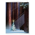thumbnail image 1 of Christmas Tree in the Forest Holiday Card 18 Cards & Envelopes - 20095, 1 of 5
