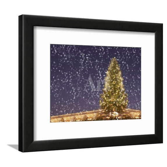 Christmas Tree under Snowfall, Seasons Transportation Framed Art Print Wall Art Sold by Art.Com