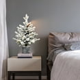 thumbnail image 1 of Christmas Trees 2FT Flocked Christmas Tree with Pot Base, 30 Warm White LED Lights, 189 Tips, PE+PVC Branches with 3 Pine Cones – Small Prelit Holiday Tree for Tabletop, Entryway, or Home Decor,Artif, 1 of 18