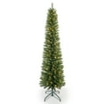 thumbnail image 1 of Christmas Trees 5FT Green Pencil Christmas Tree with 100 Warm White LED Lights – Slim PVC Tree with 263 Tips, Compact Design, Stable Metal Stand, Easy to Assemble,Artificial Christmas Trees, 1 of 9
