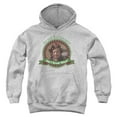 thumbnail image 1 of Christmas Vacation Break Wind Kids Pull-Over Hoodie (Medium) for Youth Boys and Girls, Athletic Heather, 1 of 5