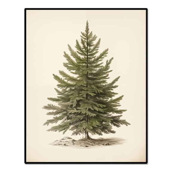 Christmas Wall Art Print, Vintage Christmas Pine Tree Art Prints Painting, Rustic Fir Botanical Sketch Christmas Winter Wall Art Poster, Vintage Christmas Decor for Holiday