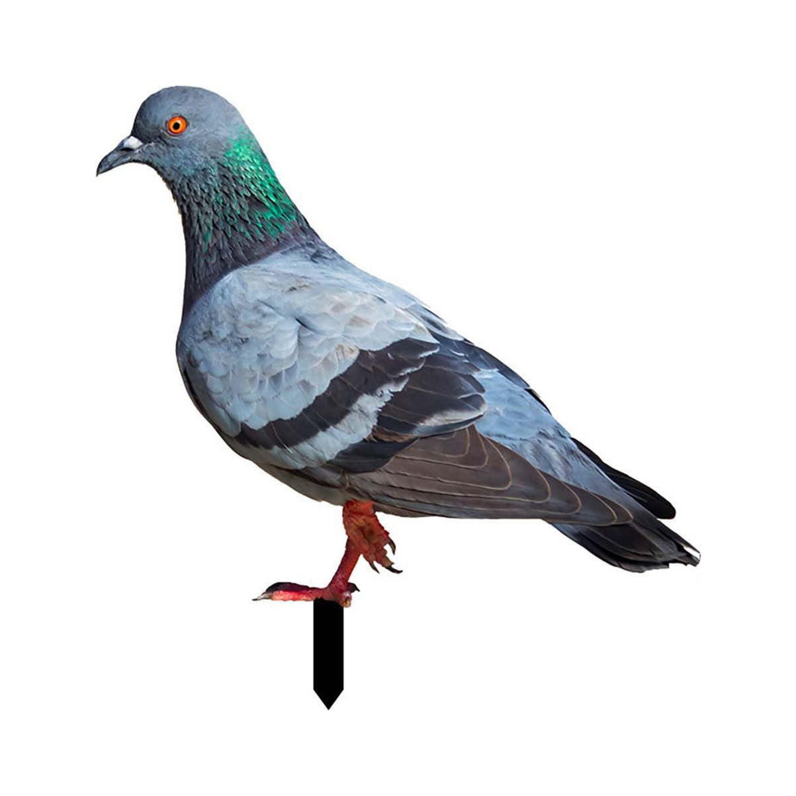 Christmas Windmill for Cemetery Solar Lighted Address Signs for Heavy