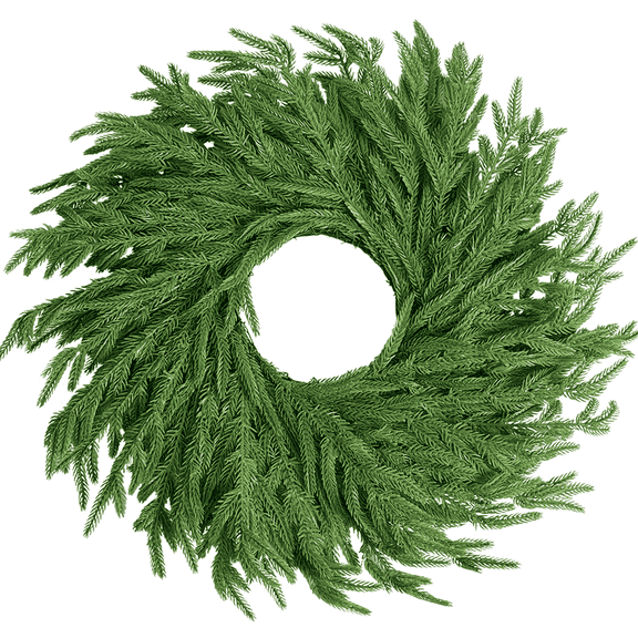 Christmas Wreath for Front Door24"Norfolk Pine Wreath Real Touch Pine Large Artificial Greenery Wreath for Walls Windows Porches Indoor Outdoor xmas home decor