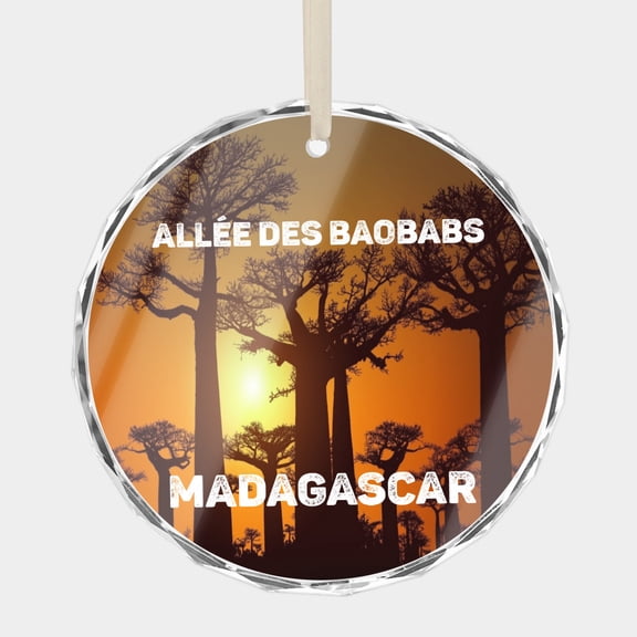 Christmas Xmas Ornament of Baobabs Alley - Avenue of Baobabs African Ornaments for Travel Keepsake 3" Premium Crystal Glass Christmas Ornament Vacation Memory Souvenir Xmas Tree Gift Ornaments