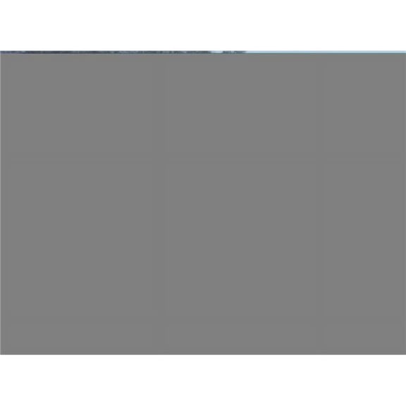 Christmas in The Woods Holiday Canvas Art, 20 x 30 in.