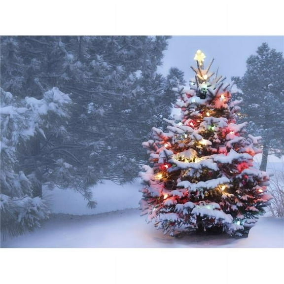 Christmas in The Woods Holiday Canvas Art, 30 x 40 in.